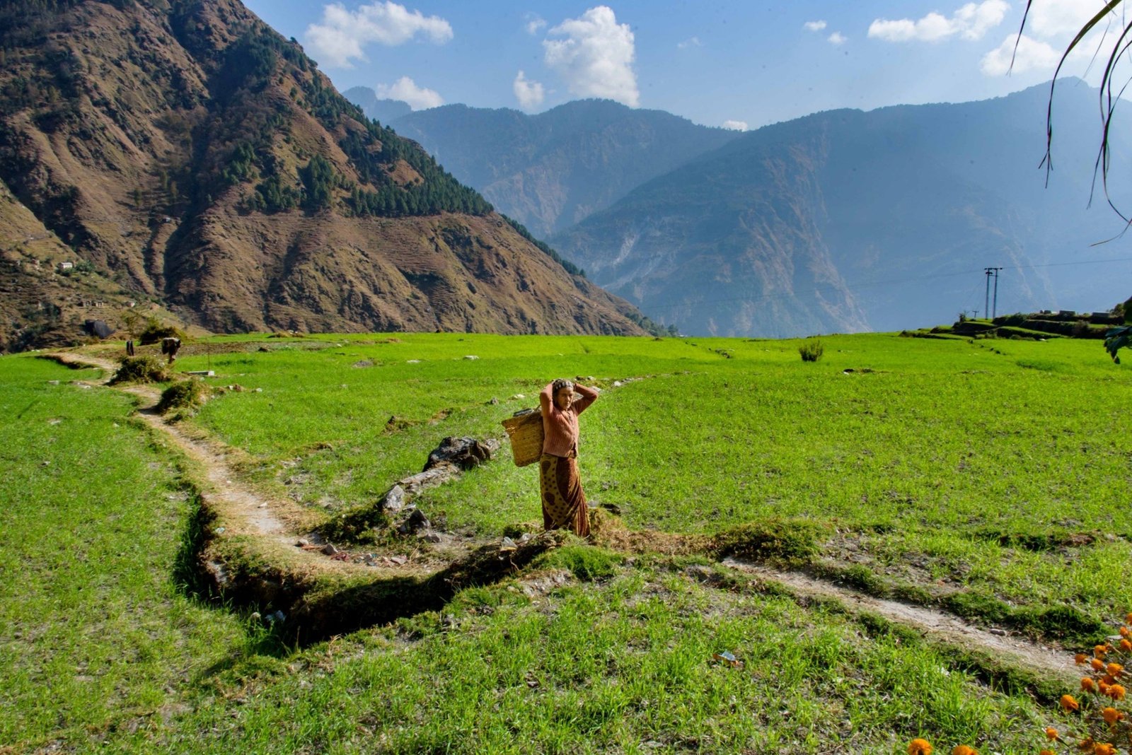 Formation Of Suvidha for the Rise Of Social & Environmental Justice in Uttarakhand.