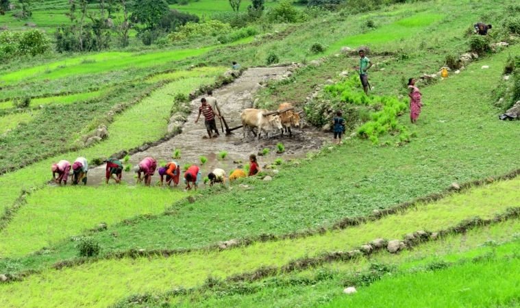 Initiated Integrated Livelihood Support Program (ILSP) by implementing IFAD in Uttarakhand.